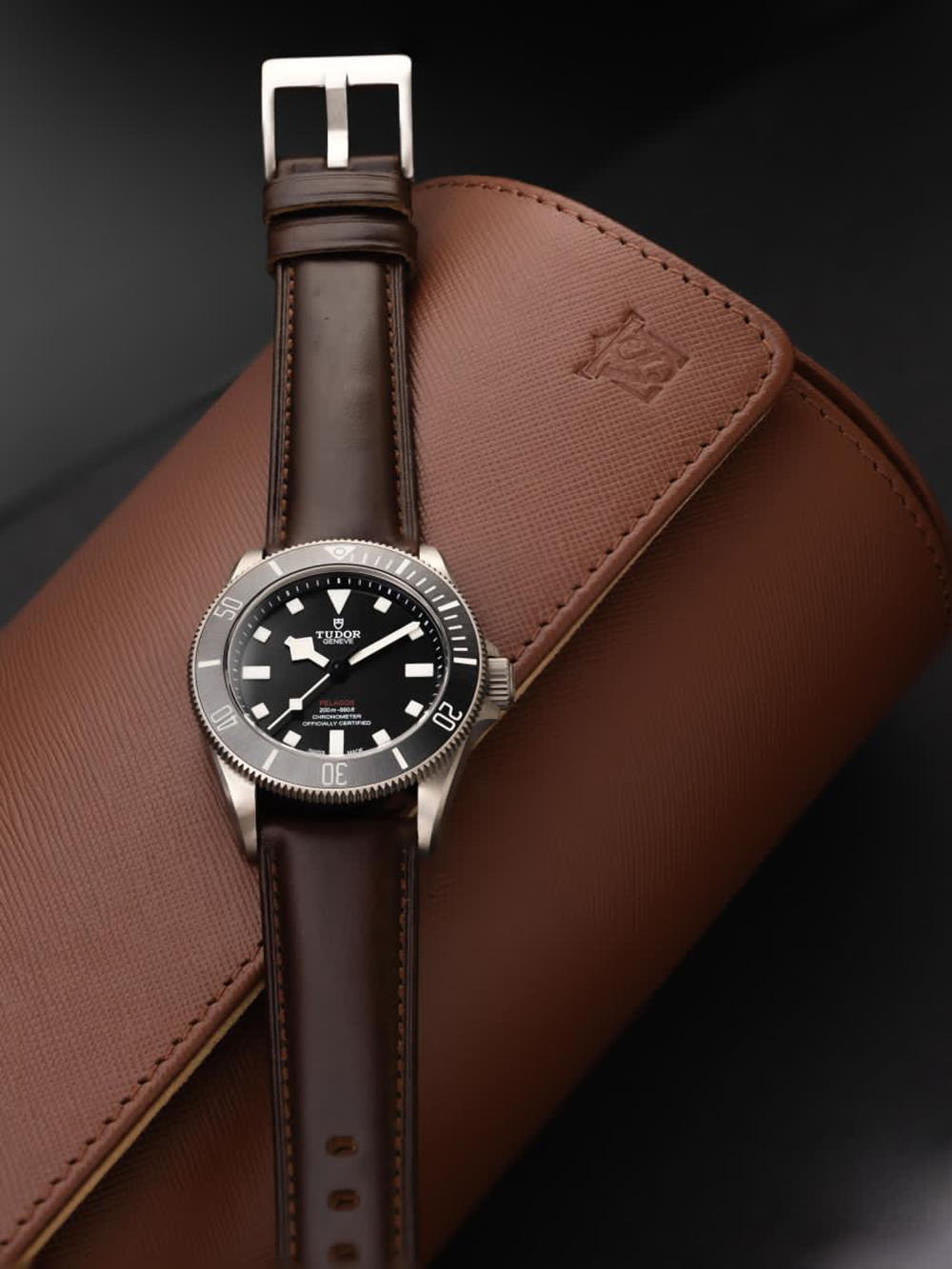 Hemsut Watch Bands Genuine Lea - Leather Strap Quick Release 评论和价格