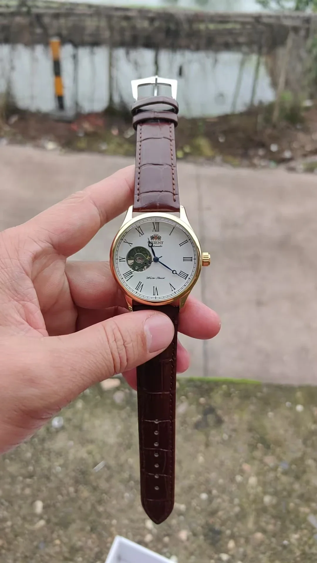 DFDG Mechanical Skeleton Watch - Seiko Watch Presage 评论和价格